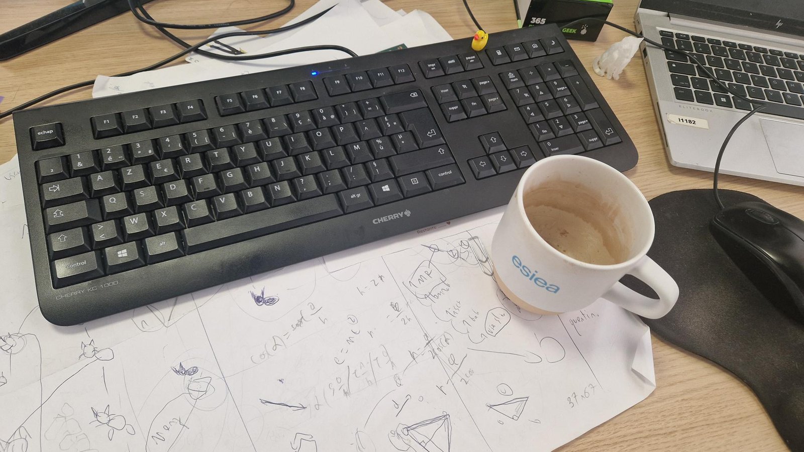 Bureau de dev
